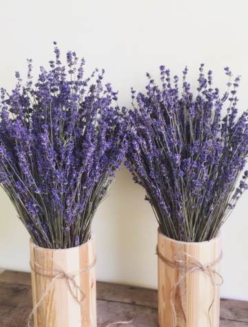 Lavender, hoa kho, oai huong, hoa trang tri