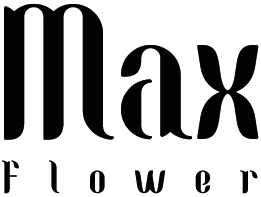 logo hoa khô maxflower