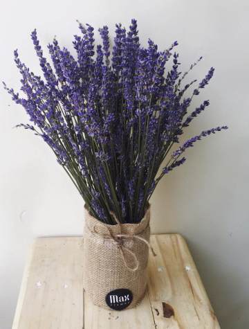 Lọ hoa Lavendin Purple
