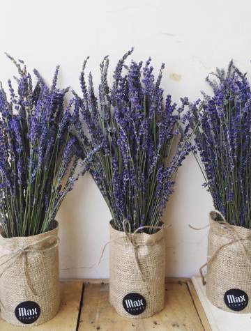 Bình hoa Lavendin phối Lavender