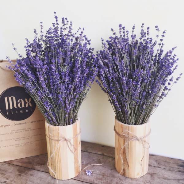 Lavender, hoa kho, oai huong, hoa trang tri