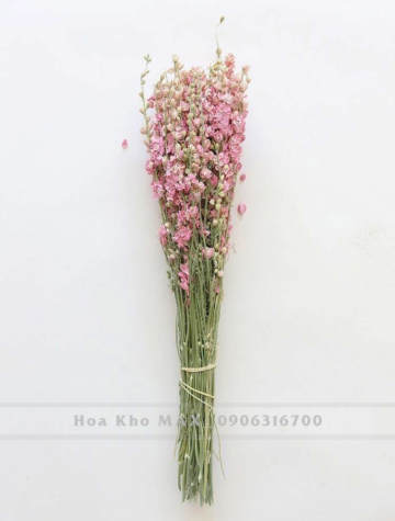 Bó hoa Phi Yến màu hồng